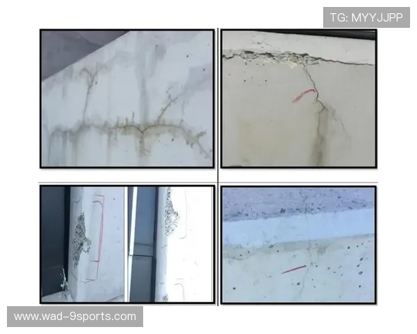 亚特兰大纵深渗透制造多处裂缝